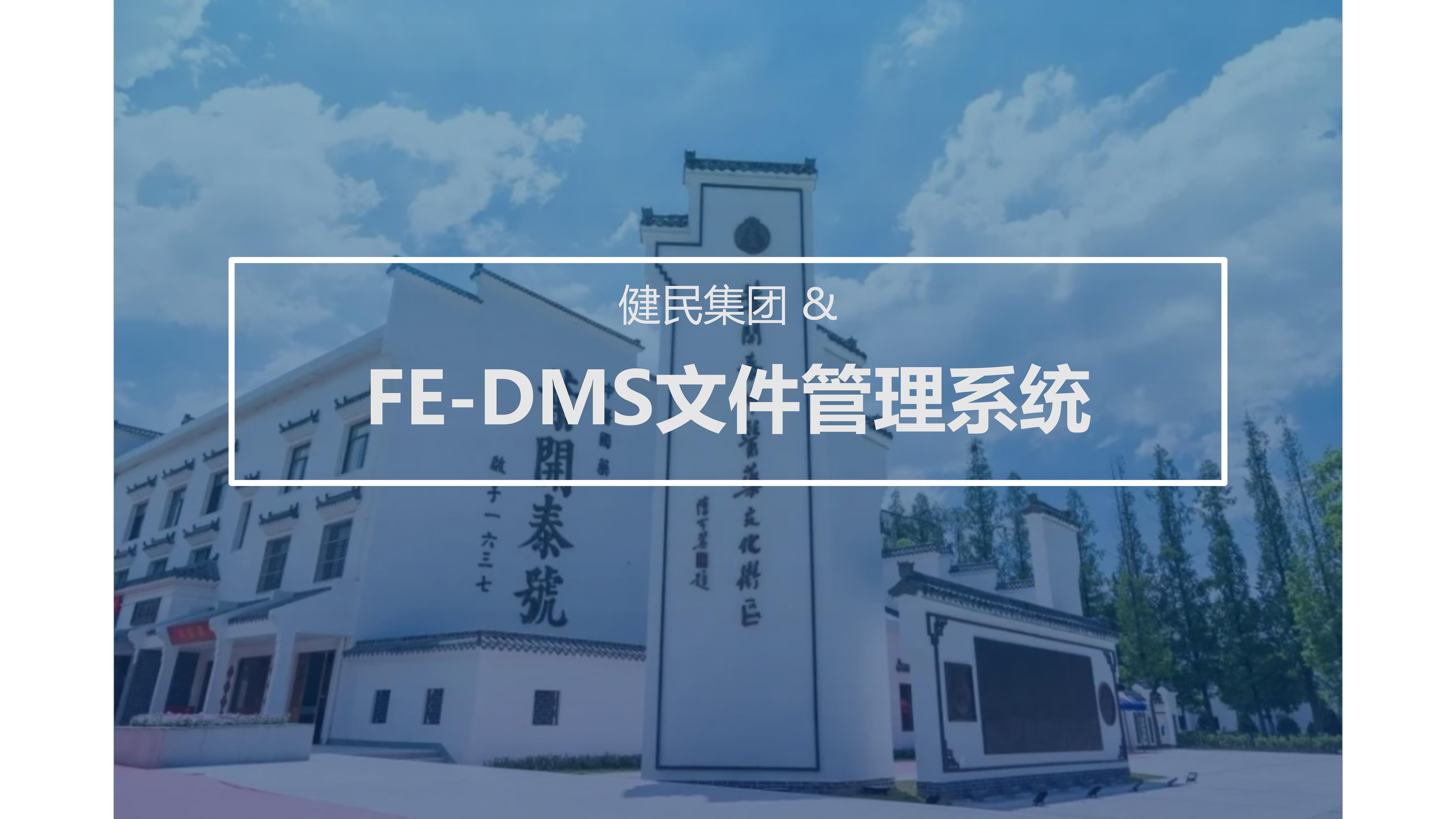 健民集团 & FE-DMS